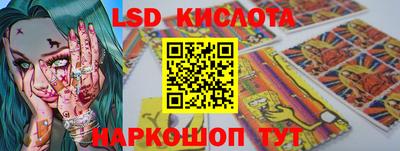 дмт Новокубанск