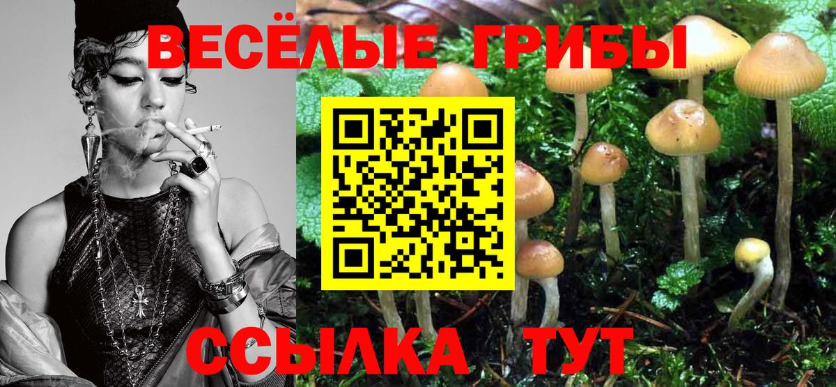 Галлюциногенные грибы Cubensis  Галлюциногенные грибы Psilocybe  Вход с VPN  Павловский Посад 