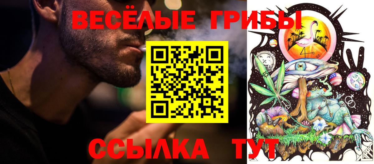 Галлюциногенные грибы MAGIC MUSHROOMS Павловский Посад